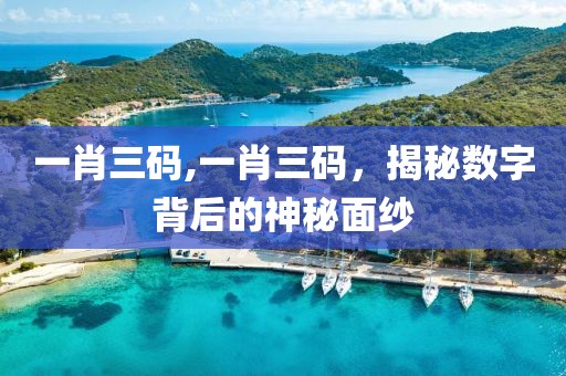 一肖三码,一肖三码，揭秘数字背后的神秘面纱