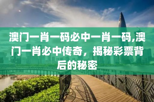 澳门一肖一码必中一肖一码,澳门一肖必中传奇，揭秘彩票背后的秘密