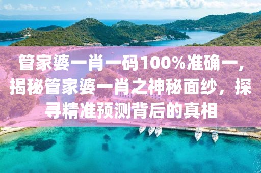 管家婆一肖一码100%准确一,揭秘管家婆一肖之神秘面纱，探寻精准预测背后的真相