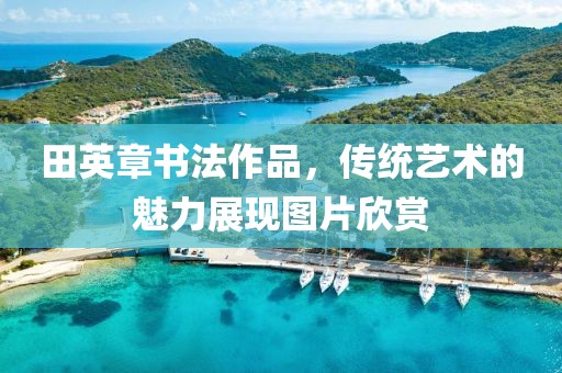 田英章书法作品，传统艺术的魅力展现图片欣赏