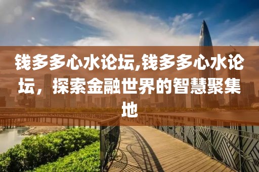 钱多多心水论坛,钱多多心水论坛，探索金融世界的智慧聚集地