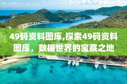 49码资料图库,探索49码资料图库，数据世界的宝藏之地