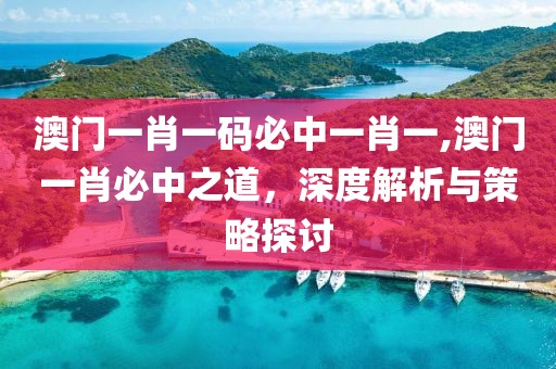 澳门一肖一码必中一肖一,澳门一肖必中之道，深度解析与策略探讨