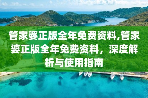 管家婆正版全年免费资料,管家婆正版全年免费资料，深度解析与使用指南