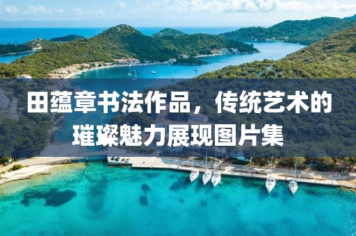 田蕴章书法作品，传统艺术的璀璨魅力展现图片集