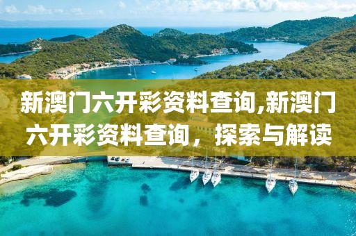 新澳门六开彩资料查询,新澳门六开彩资料查询，探索与解读