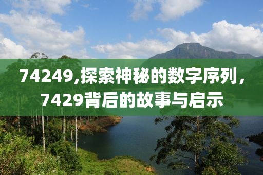 74249,探索神秘的数字序列，7429背后的故事与启示