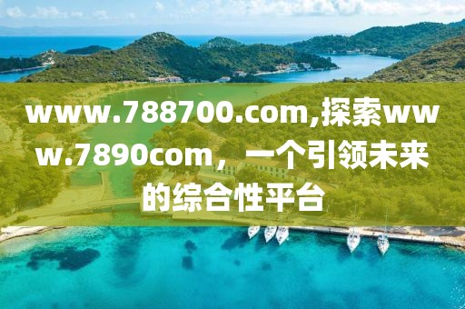 www.788700.com,探索www.7890com，一个引领未来的综合性平台