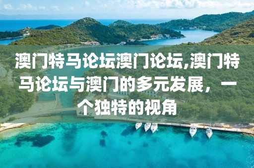 澳门特马论坛澳门论坛,澳门特马论坛与澳门的多元发展，一个独特的视角