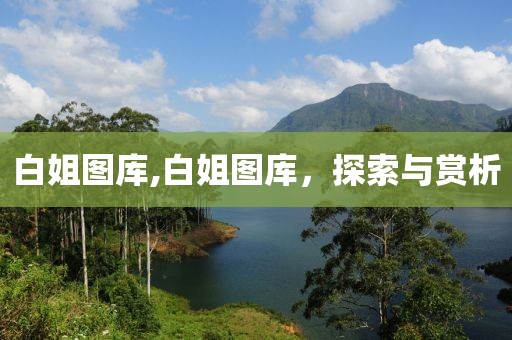白姐图库,白姐图库，探索与赏析