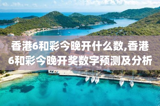 香港6和彩今晚开什么数,香港6和彩今晚开奖数字预测及分析