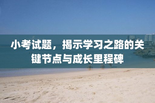 小考试题，揭示学习之路的关键节点与成长里程碑