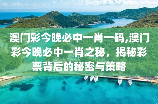 澳门彩今晚必中一肖一码,澳门彩今晚必中一肖之秘，揭秘彩票背后的秘密与策略