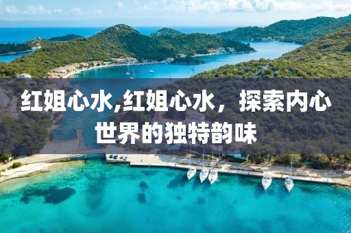 红姐心水,红姐心水，探索内心世界的独特韵味