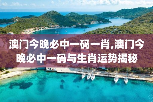 澳门今晚必中一码一肖,澳门今晚必中一码与生肖运势揭秘