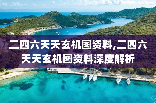 二四六天天玄机图资料,二四六天天玄机图资料深度解析