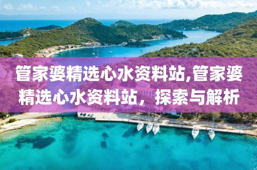 管家婆精选心水资料站,管家婆精选心水资料站，探索与解析