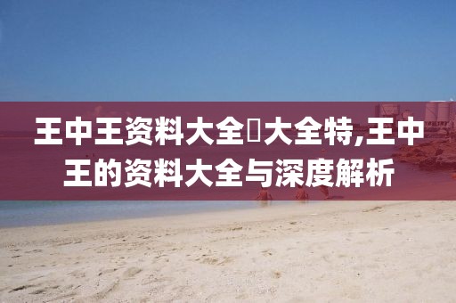 王中王资料大全枓大全特,王中王的资料大全与深度解析