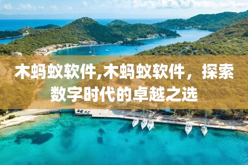 木蚂蚁软件,木蚂蚁软件，探索数字时代的卓越之选