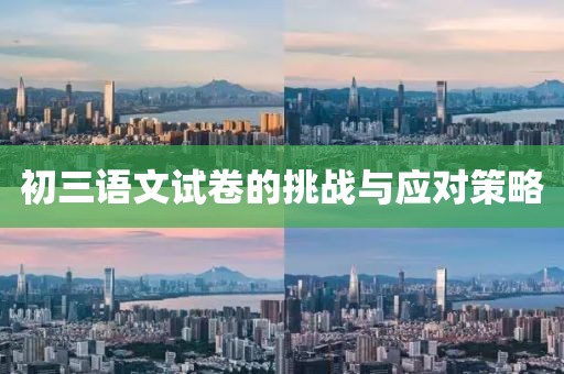 初三语文试卷的挑战与应对策略