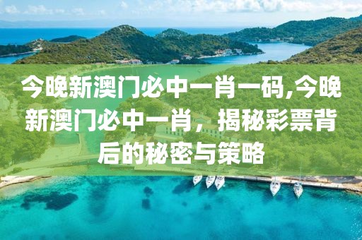 今晚新澳门必中一肖一码,今晚新澳门必中一肖，揭秘彩票背后的秘密与策略