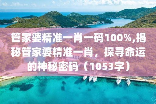 管家婆精准一肖一码100%,揭秘管家婆精准一肖，探寻命运的神秘密码（1053字）
