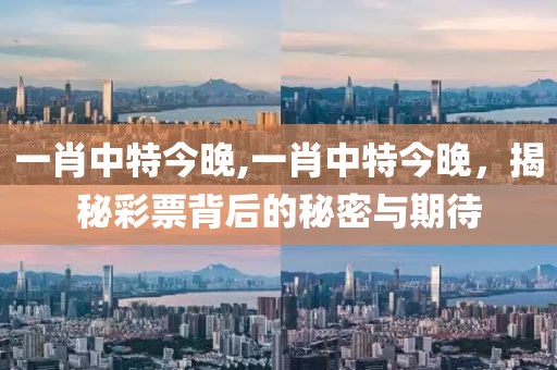 一肖中特今晚,一肖中特今晚，揭秘彩票背后的秘密与期待
