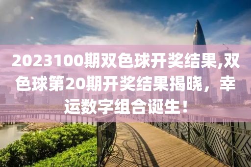 2023100期双色球开奖结果,双色球第20期开奖结果揭晓，幸运数字组合诞生！