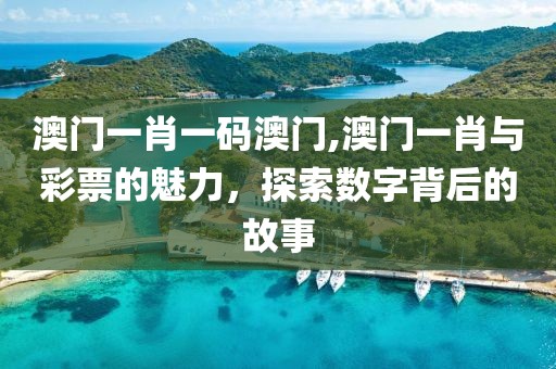 澳门一肖一码澳门,澳门一肖与彩票的魅力，探索数字背后的故事