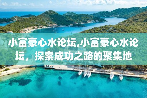 小富豪心水论坛,小富豪心水论坛，探索成功之路的聚集地