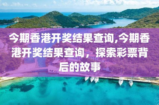 今期香港开奖结果查询,今期香港开奖结果查询，探索彩票背后的故事