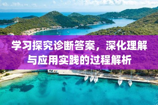学习探究诊断答案，深化理解与应用实践的过程解析