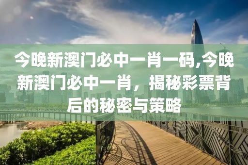 今晚新澳门必中一肖一码,今晚新澳门必中一肖，揭秘彩票背后的秘密与策略