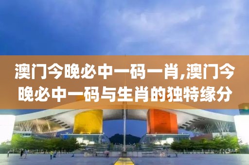 澳门今晚必中一码一肖,澳门今晚必中一码与生肖的独特缘分