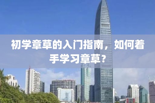 初学章草的入门指南，如何着手学习章草？
