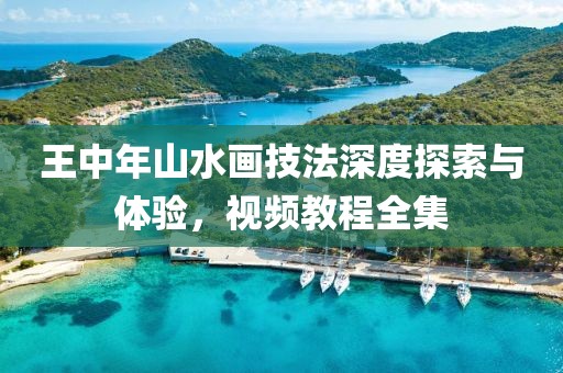 王中年山水画技法深度探索与体验，视频教程全集