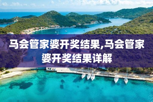 马会管家婆开奖结果,马会管家婆开奖结果详解