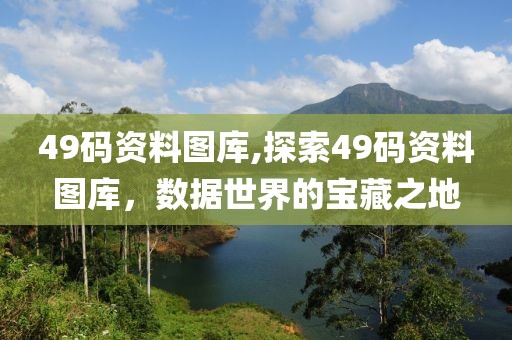 49码资料图库,探索49码资料图库，数据世界的宝藏之地