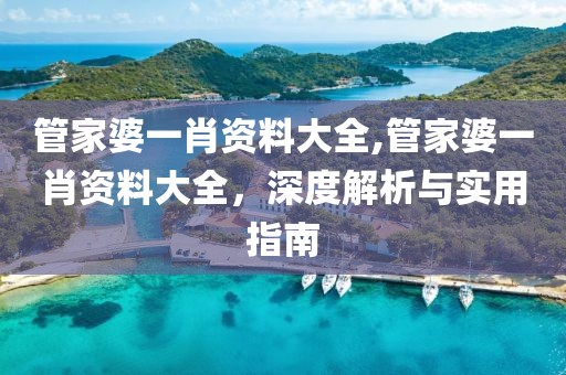 管家婆一肖资料大全,管家婆一肖资料大全，深度解析与实用指南