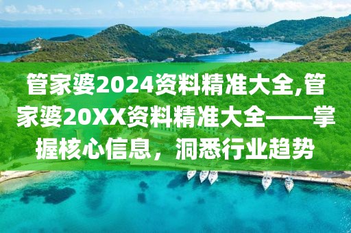 管家婆2024资料精准大全,管家婆20XX资料精准大全——掌握核心信息，洞悉行业趋势