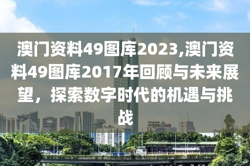 澳门资料49图库2023,澳门资料49图库2017年回顾与未来展望，探索数字时代的机遇与挑战