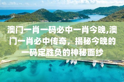 澳门一肖一码必中一肖今晚,澳门一肖必中传奇，揭秘今晚的一码定胜负的神秘面纱