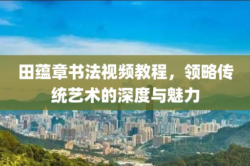 田蕴章书法视频教程，领略传统艺术的深度与魅力