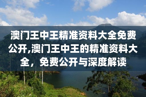澳门王中王精准资料大全免费公开,澳门王中王的精准资料大全，免费公开与深度解读