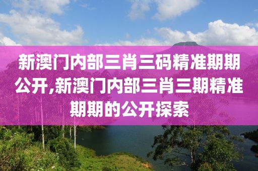 新澳门内部三肖三码精准期期公开,新澳门内部三肖三期精准期期的公开探索