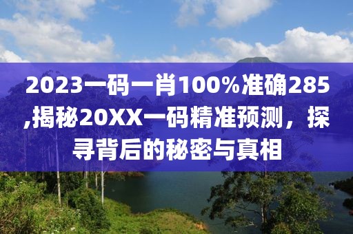 2023一码一肖100%准确285,揭秘20XX一码精准预测，探寻背后的秘密与真相