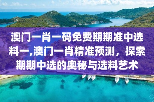 澳门一肖一码免费期期准中选料一,澳门一肖精准预测，探索期期中选的奥秘与选料艺术