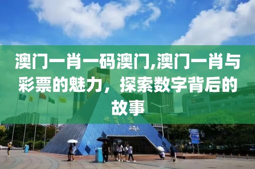 澳门一肖一码澳门,澳门一肖与彩票的魅力，探索数字背后的故事
