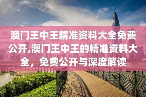澳门王中王精准资料大全免费公开,澳门王中王的精准资料大全，免费公开与深度解读