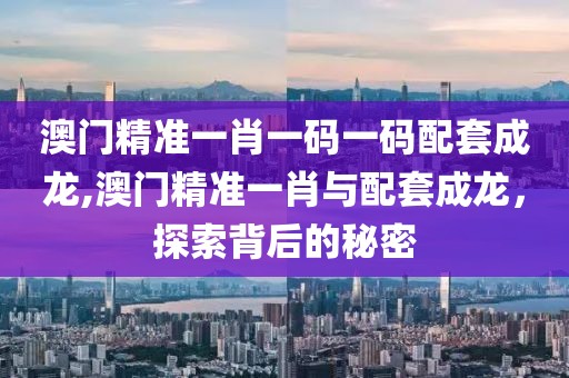 澳门精准一肖一码一码配套成龙,澳门精准一肖与配套成龙，探索背后的秘密